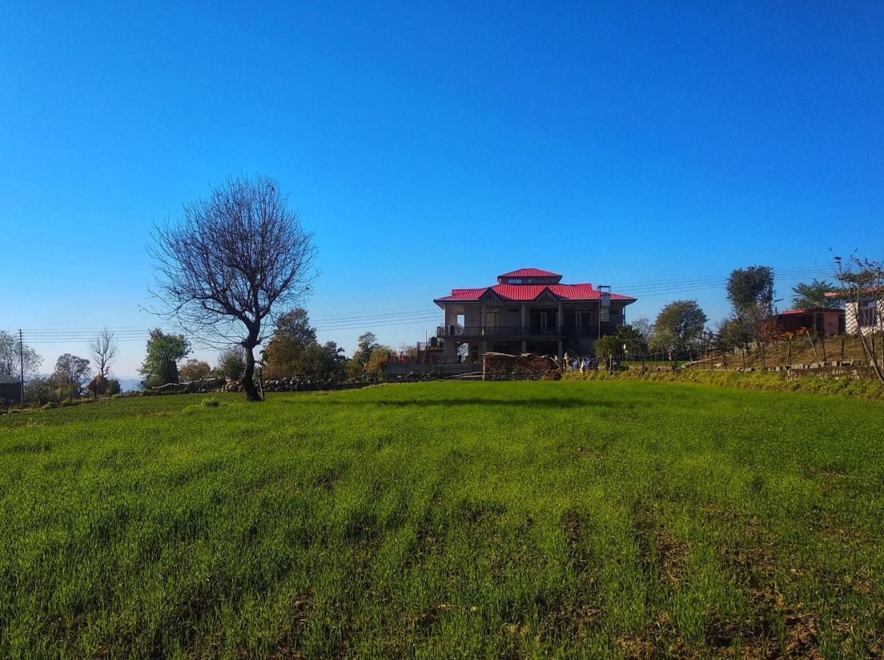 Bir Nest Hostel Buitenkant foto